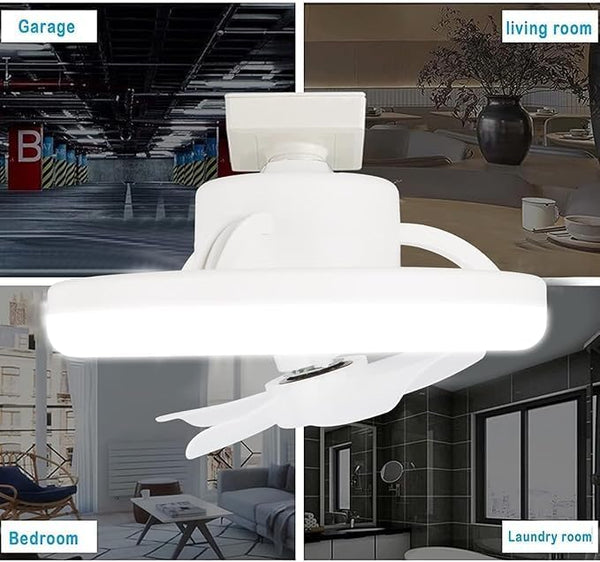 David R. review photo